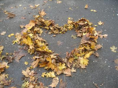 Etes Vous Avec Le Bon ? ( Filles De 11-14 Ans)