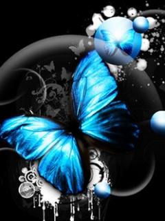 butterfly 