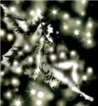 Gift Fairies