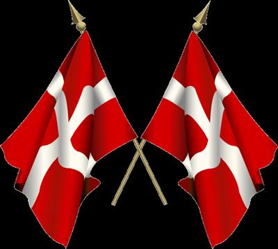 Hvor Dansk Er Du Idag?