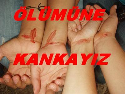 Benim Kankim Misin Yoksa Dostmu ?