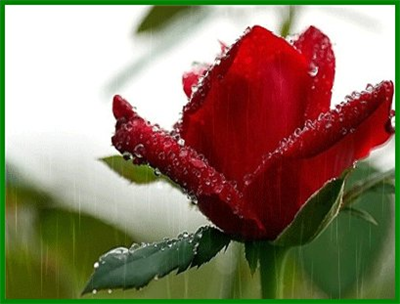 ♥ Birαkip gittiη beηi… Seηi υηυttυm ѕαηmα, zαmαη αliѕmαуi ogretti belki αmα υηυtmαуi αѕlα…
