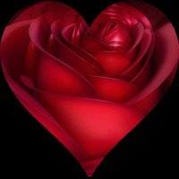 ♥ Oηα kαlbimi νerdim ѕαklαѕiη diуe, ѕαlαk bυzdolαbiηα koуmυѕ bozυlmαѕiη diуe.