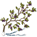 Olive Branch