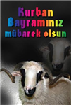 Bayramınız Mübarek Olsun !