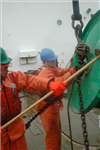 Dole Out Unpleasant Tasks