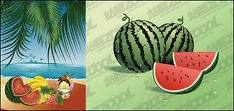 Buah Semangka