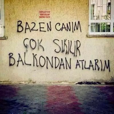 Ne kadar belalısın testi 
