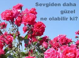 sevgi gülleri