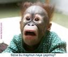Türkçeyi Ne Kadar Biliyosun