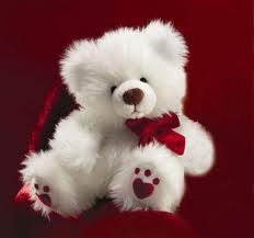 teddy