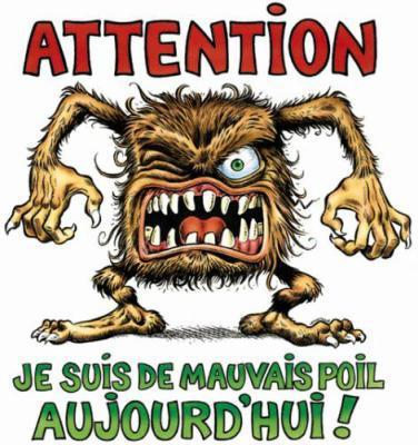 Bonne Ou Mauvaise Humeur ?