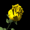 For You