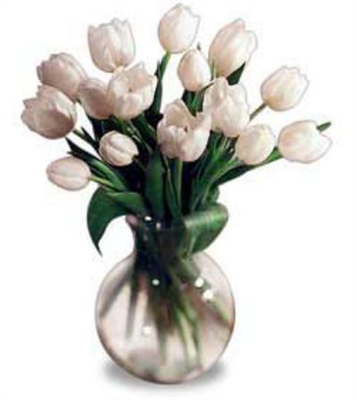 Special For You