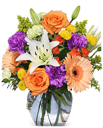 Special For You