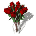 Special For You