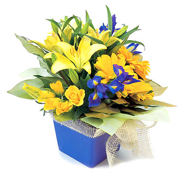 Special For You