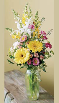 Special For You