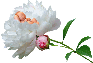 Special For You