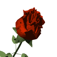 Just For you