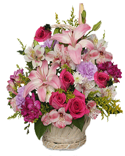 Special For You