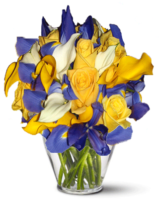 Special For You