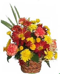 For You