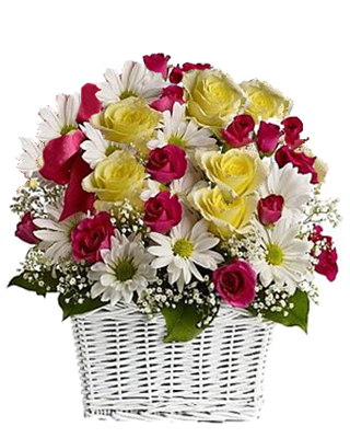 Special For You