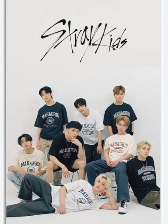 Hangi Stray kids üyiyesi senin eşin