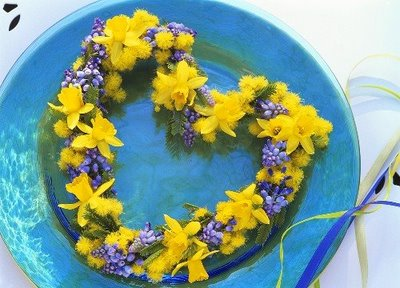 Mimosa cuore..