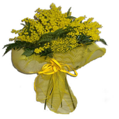 Bouquett mimosa....