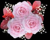 Buon San Valentino!