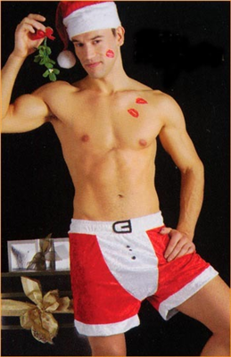 Sexy Christmas