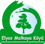 Boş Oy Kullanacağım.