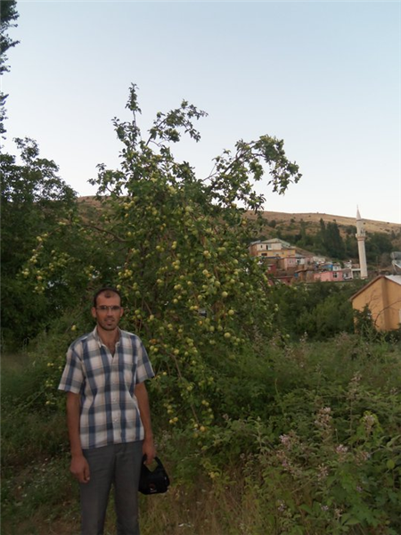Süleyman ARSLANOĞLU