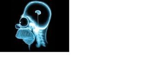 Är Du Smart?