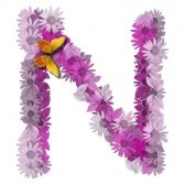 N