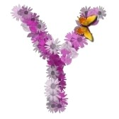 Y