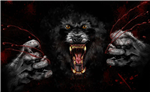 Wolfteam Hediye