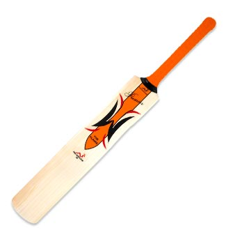 bat
