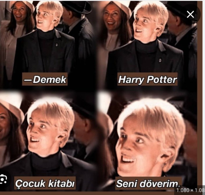 Hangi Harry Potter Karakteri İle Birlikte Gün Geçi