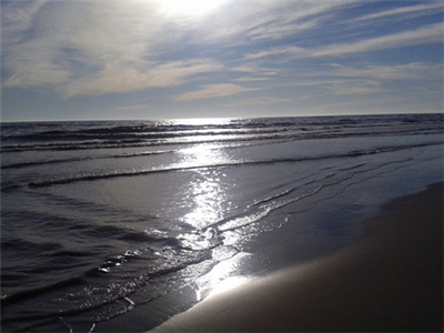 The Beach