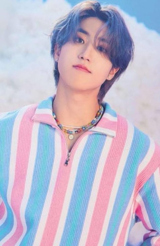 Han jisung