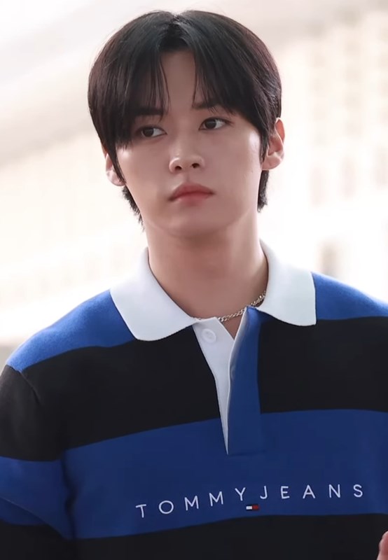 Lee know ( minho )