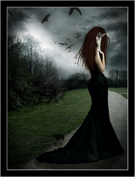 The Raven Lady