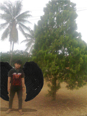 Bebek panggang