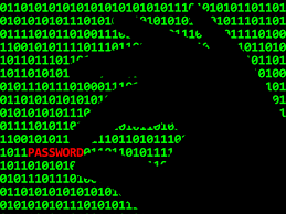 Hangi Hackersin