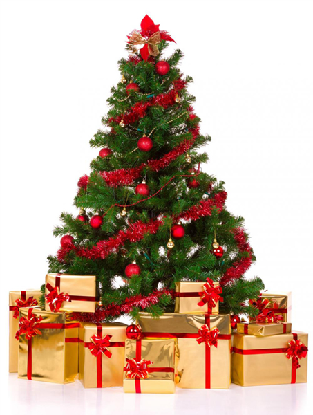 pohon natal