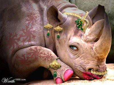 คุณเปรียบเหมือนสัตว์อะไร
