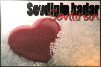 Sevdiğin İçin Herşeyi Yapar Mısı